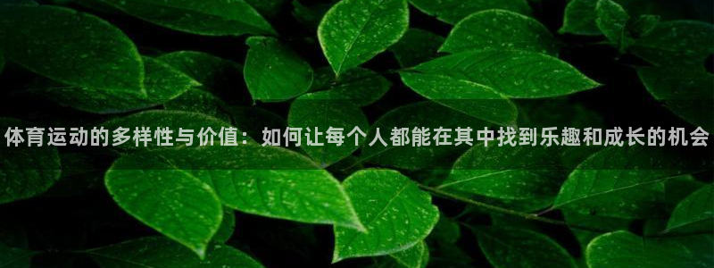 3377体育官网入口网页版