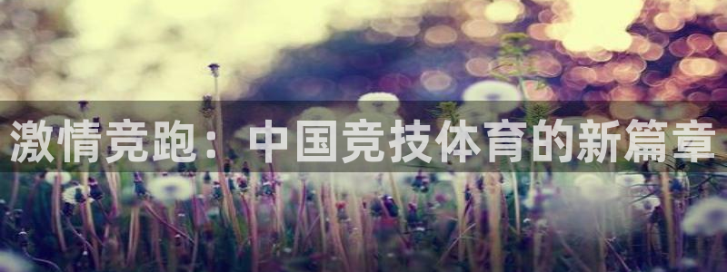 3377体育(中国)官方网站