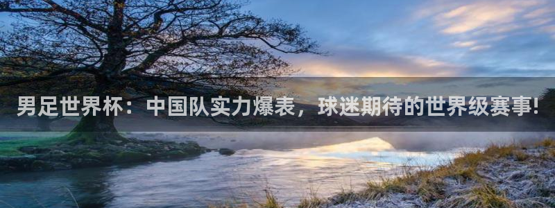 3377体育官方app下载