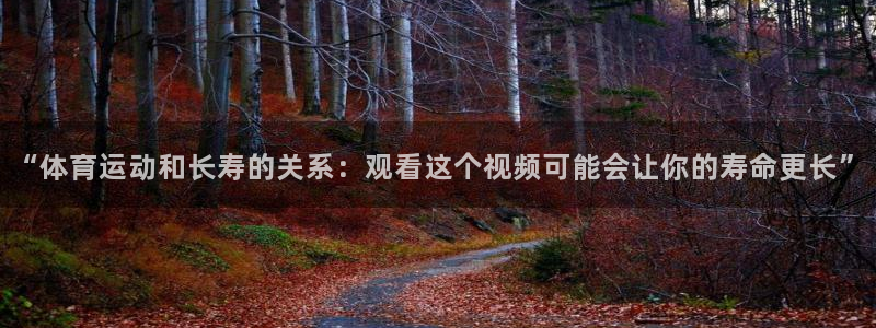 3377体育app下载安装