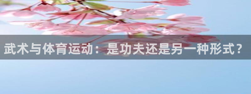 3377体育app官方下载：武术与体育运动：是功夫还是另一种形式？