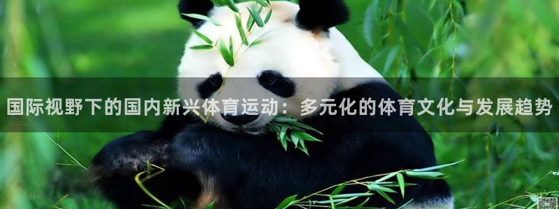 3377体育中国官方网站入口