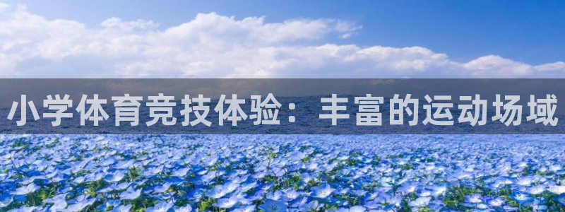 3377体育：小学体育竞技体验：丰富的运动场域