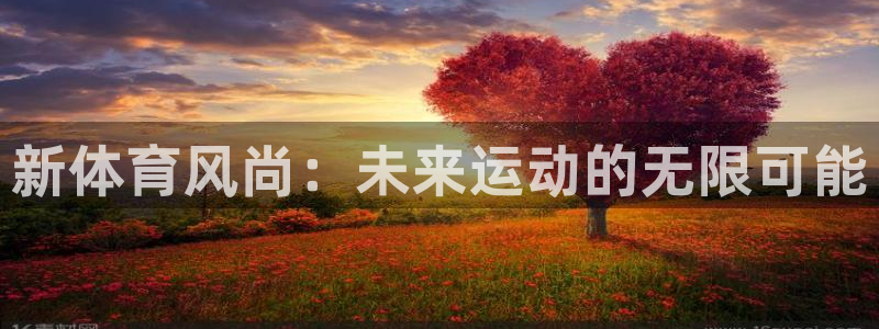 3377体育是正规平台吗：新体育风尚：未来运动的无限可能