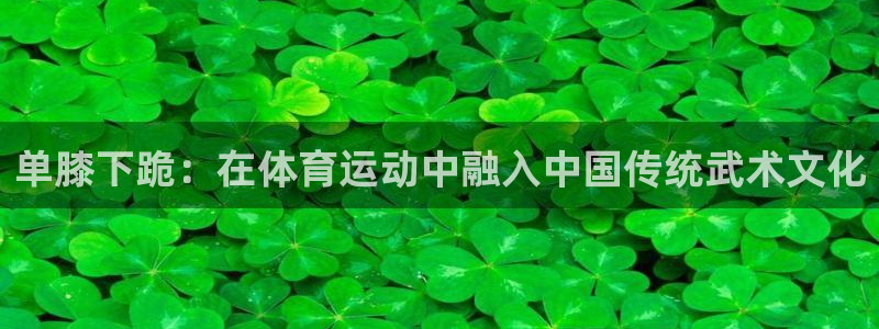 3377体育app官方下载：单膝下跪：在体育运动中融入中国传统武术文化