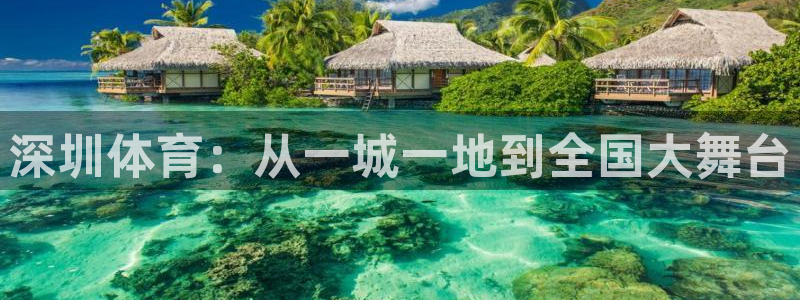 3377体育app官方下载：深圳体育：从一城一地到全国大舞台